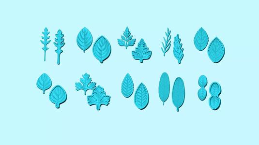 10 Culinary Herbs Leaf Molds - Artificial Molding Tools 3D Model Collection