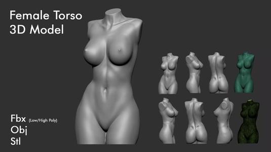 Female Torso 7