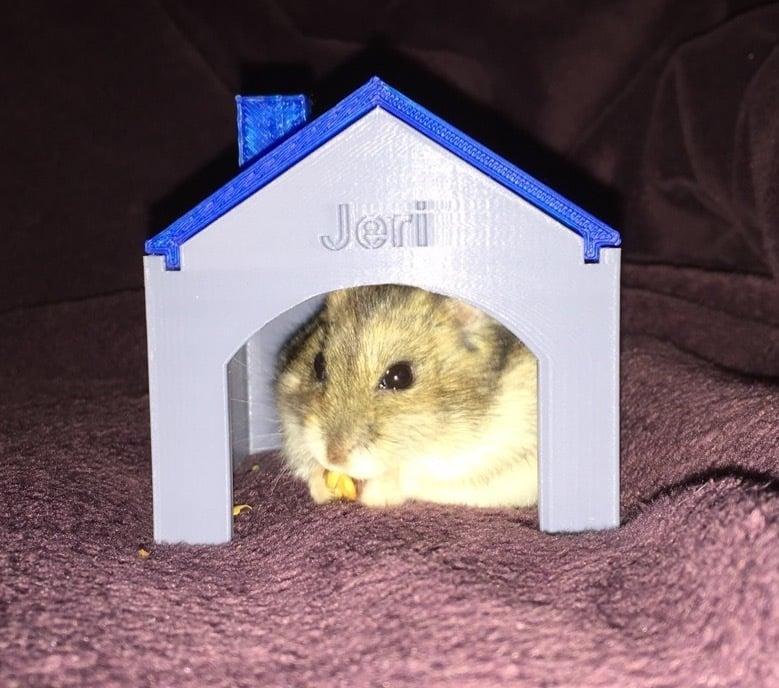 Hamster House