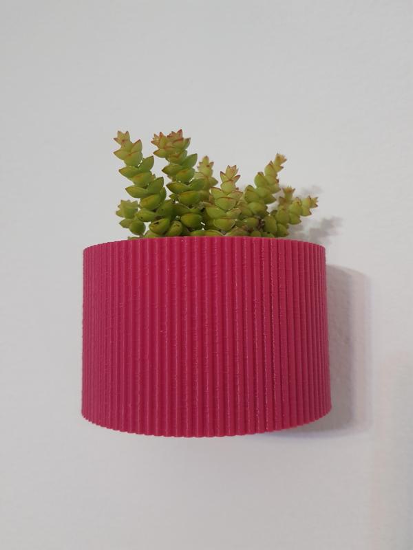 Hanging Flower Pot 2 - Flower Pot 2