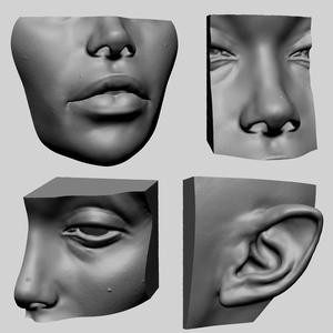 Lip Ear Eye Nose