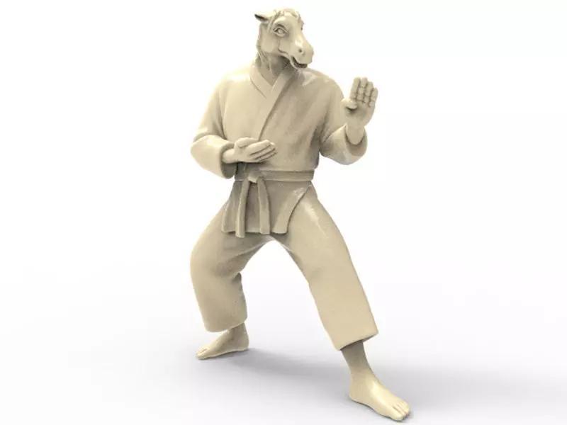 Horse Kokutsu Dachi Stance