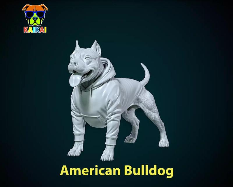 American Bulldog Urban vibes Decor