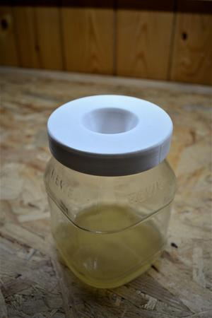 fruit fly trap
