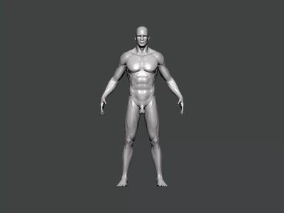 3D Model-ANATOMY0027 male body