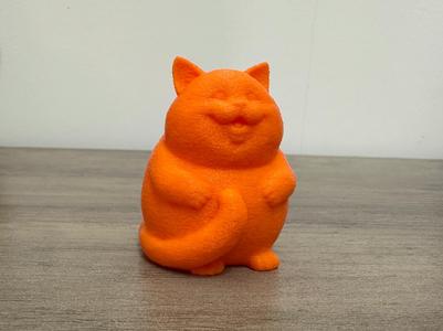 Funny smile cat