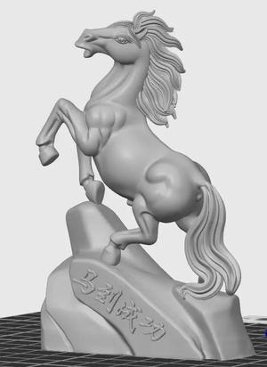 MA DAO THANH CONG-success horses