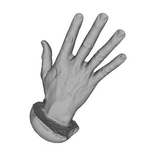 Hand