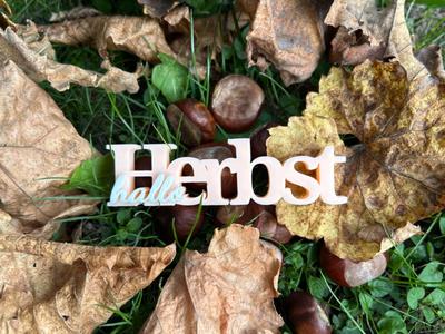 hello Autumn