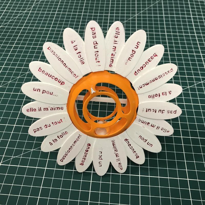 Effeuiller la marguerite / Plucking the daisy