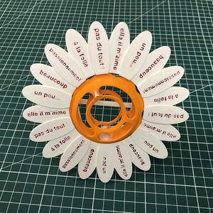 Effeuiller la marguerite / Plucking the daisy