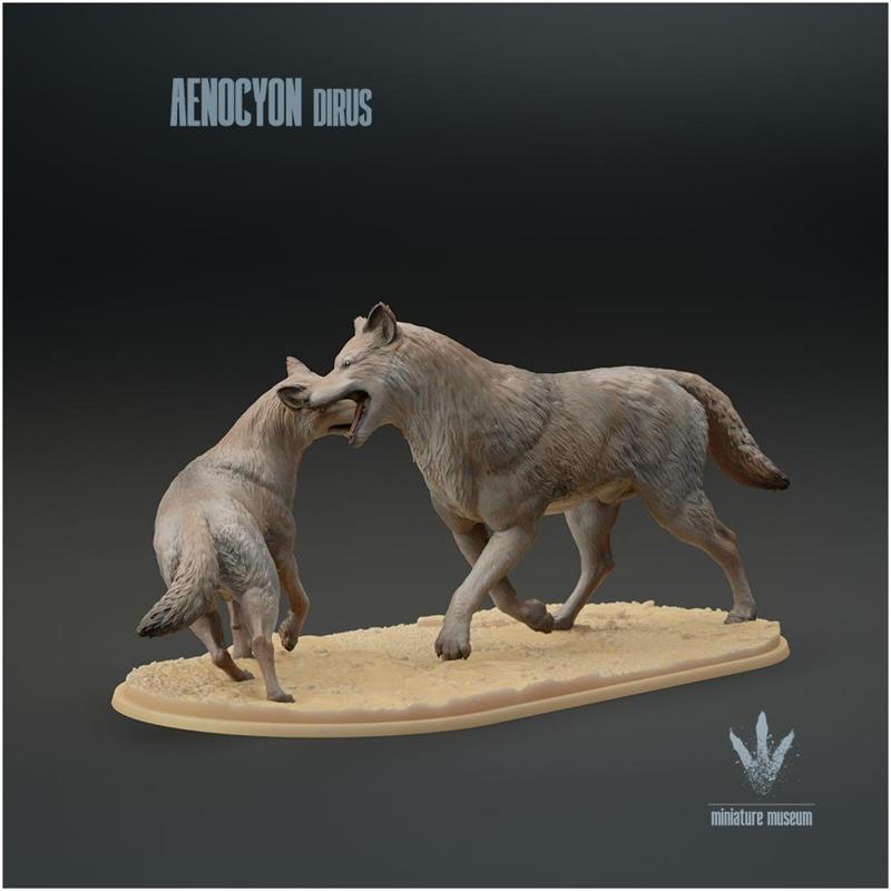 Aenocyon dirus : Fighting