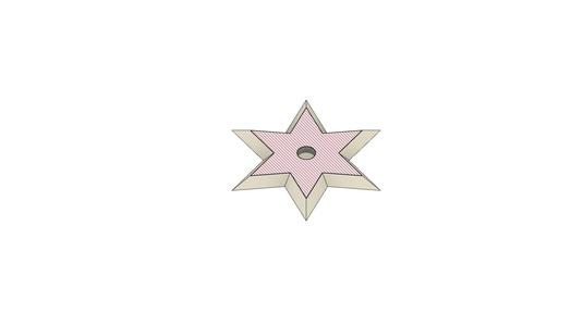 Star with magnet insert