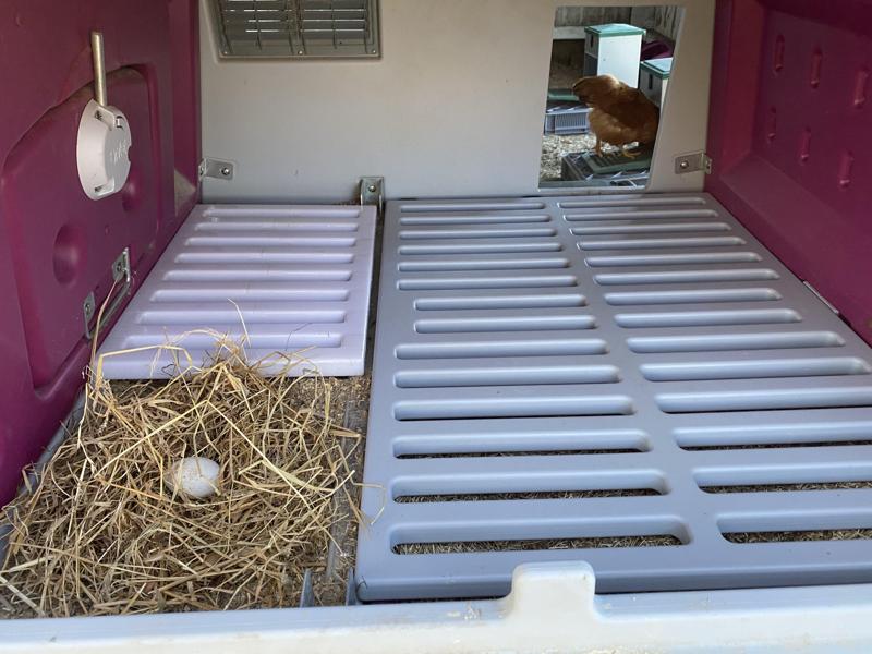 Grid for Omlet Eglu Mk2