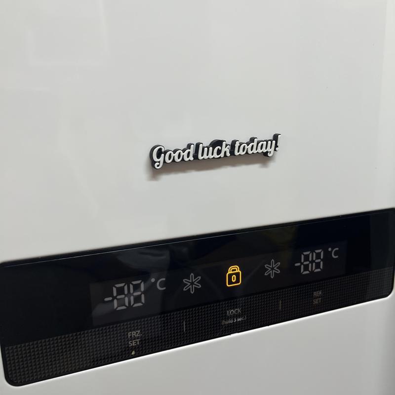 Fridge Magnetic Sentence - Good luck today!