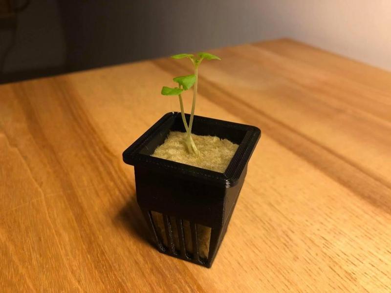 Net cups for 1 inch (2,5 cm) rockwool cubes