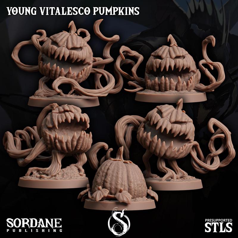 Young Vitalesco Pumpkins