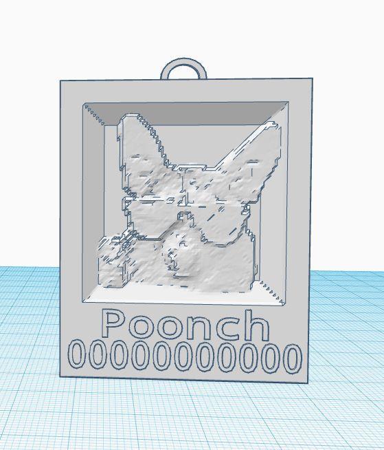lithopane of my dog(tag)