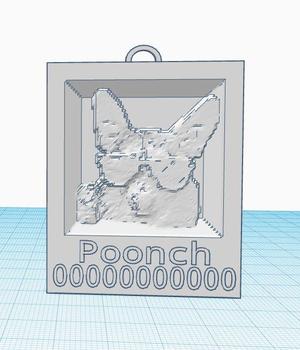 lithopane of my dog(tag)