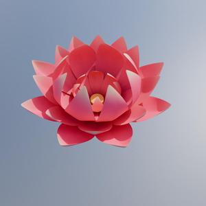 lotus flower