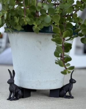 Potted Plant Pot Feet  (rabbit design)