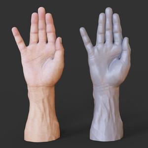 Male Hand Pose - Gesture - 19