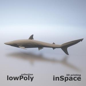 Shark - low poly