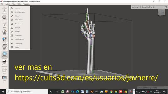 Skeleton arm with raised middle finger