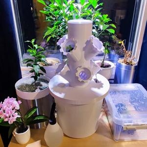 Hydroponic Tower (compact design)