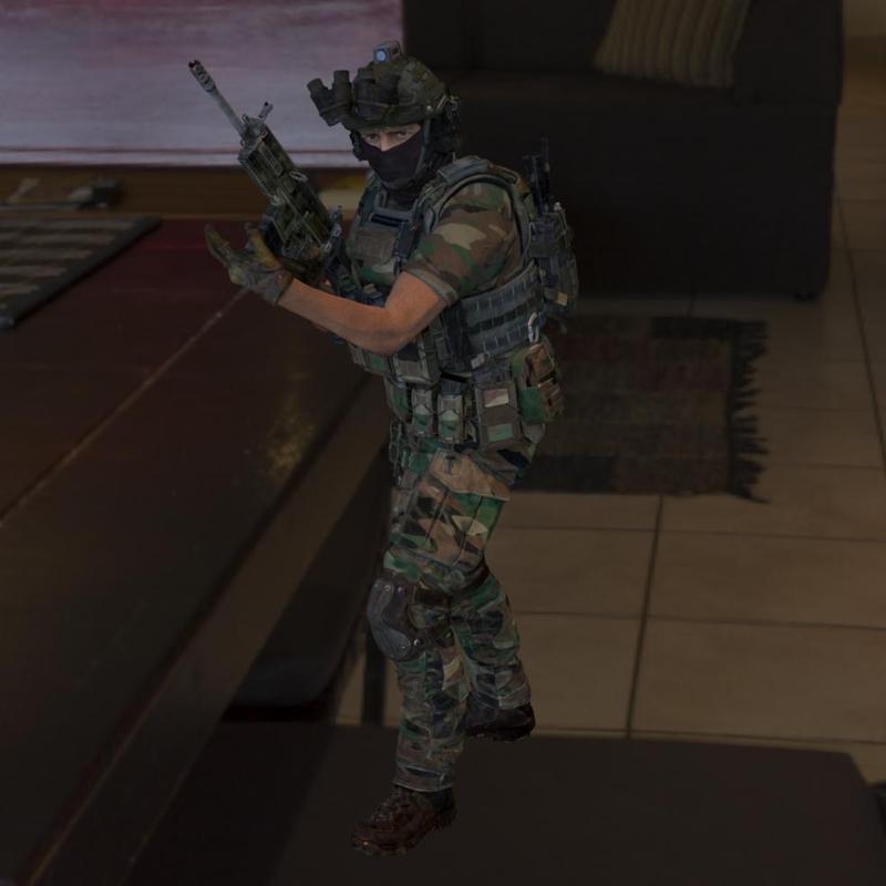 Soldier Ops 29: Elite Forces
