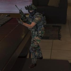 Soldier Ops 29: Elite Forces