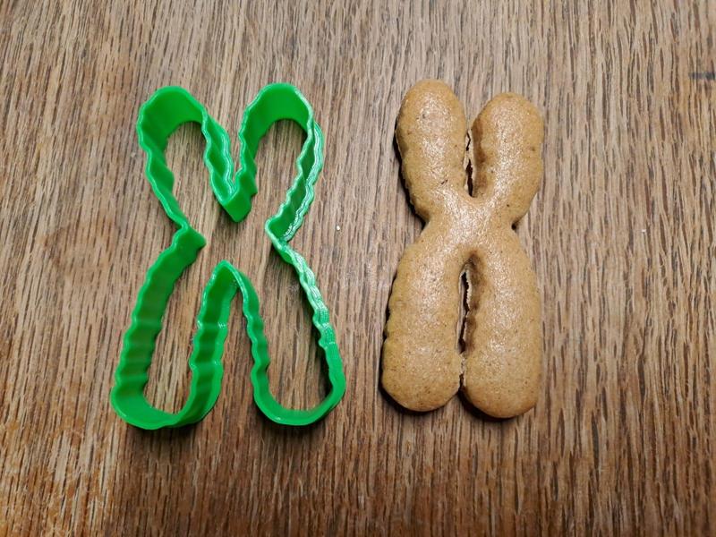 Chromosome cookie cutter