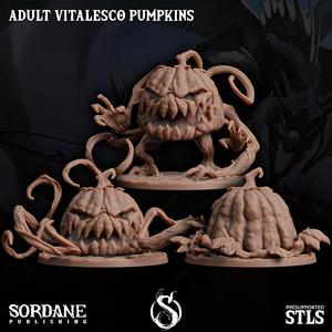 Adult Vitalesco Pumpkins