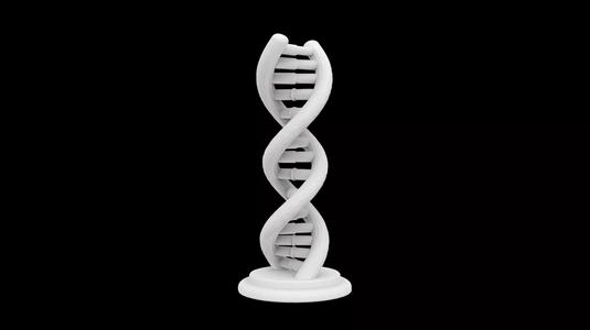 DNA Double Helix Model 3D Print
