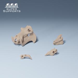Animal skulls group 6