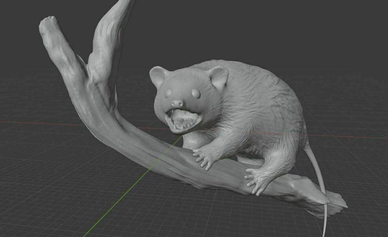 Opossum on Branch