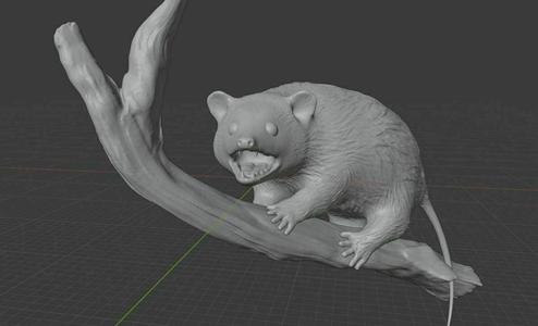 Opossum on Branch