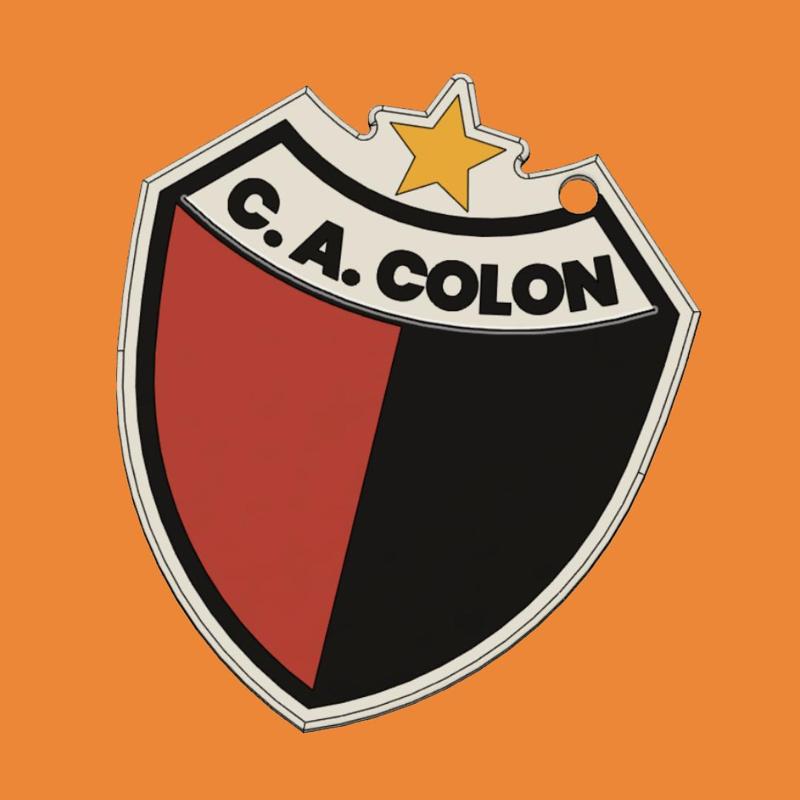 Colon Key Ring (AMS)