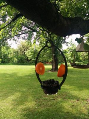 oriole feeder