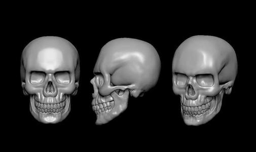 skull