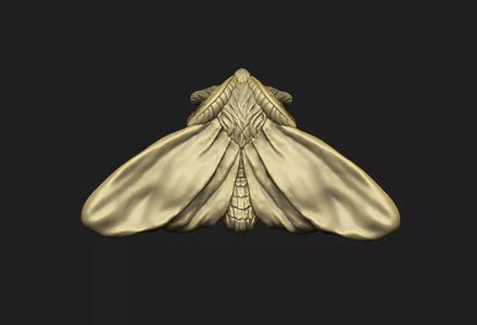 the moth stud2 monster family home woman girl beautiful