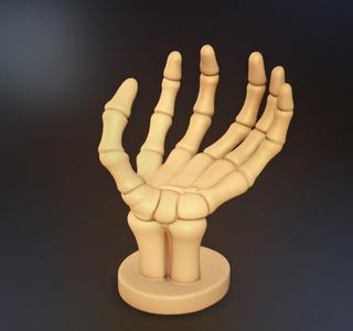 Hand Cupped