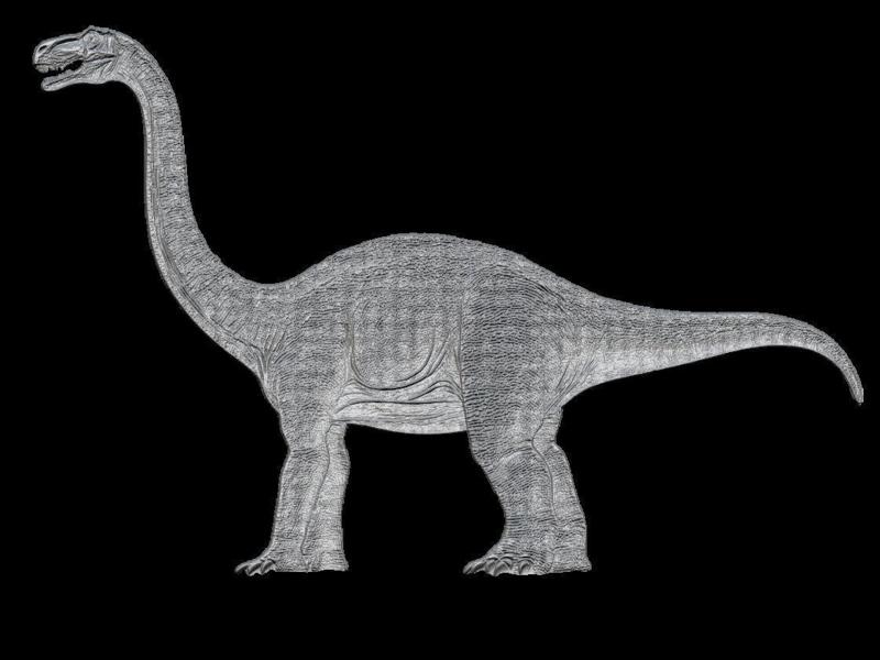 Majestic Brachiosaurus