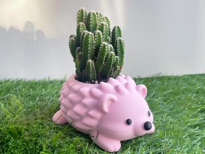 Hedgehog Planter