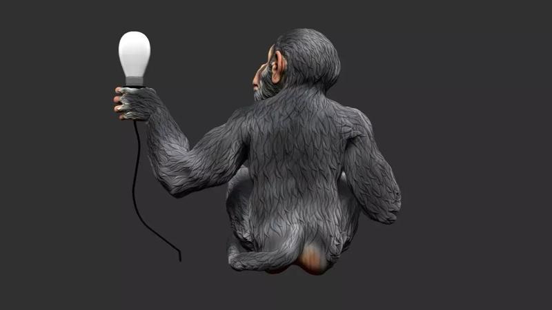 Monkey Holding lamp