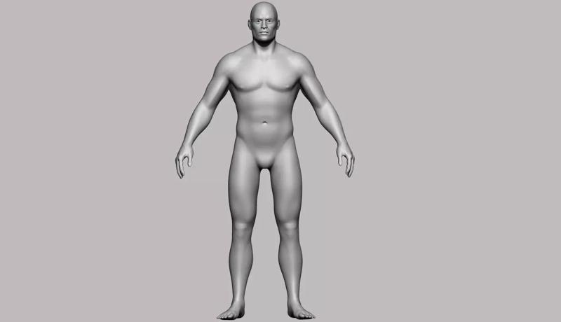 BASE MESH MALE BODY 3