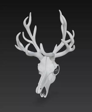Stylized Deer Skull with Antlers 3D Model Fantasy Sculpture