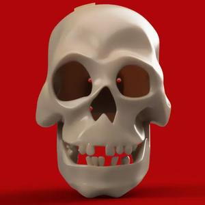 Halloween Talking Skull Disneyland Pirates of the Caribbean Ride