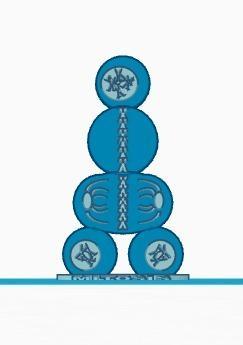 Mitosis Model