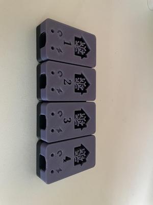 Esp32 4fach Gehäuse